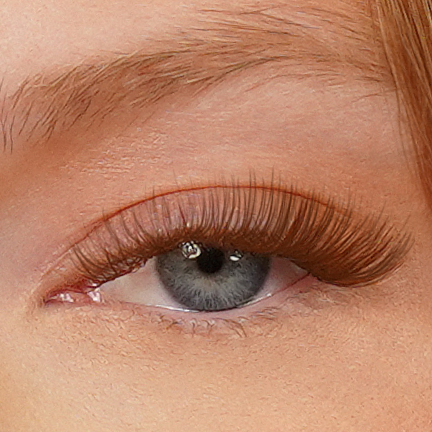 Classic Babe - Cluster Lashes
